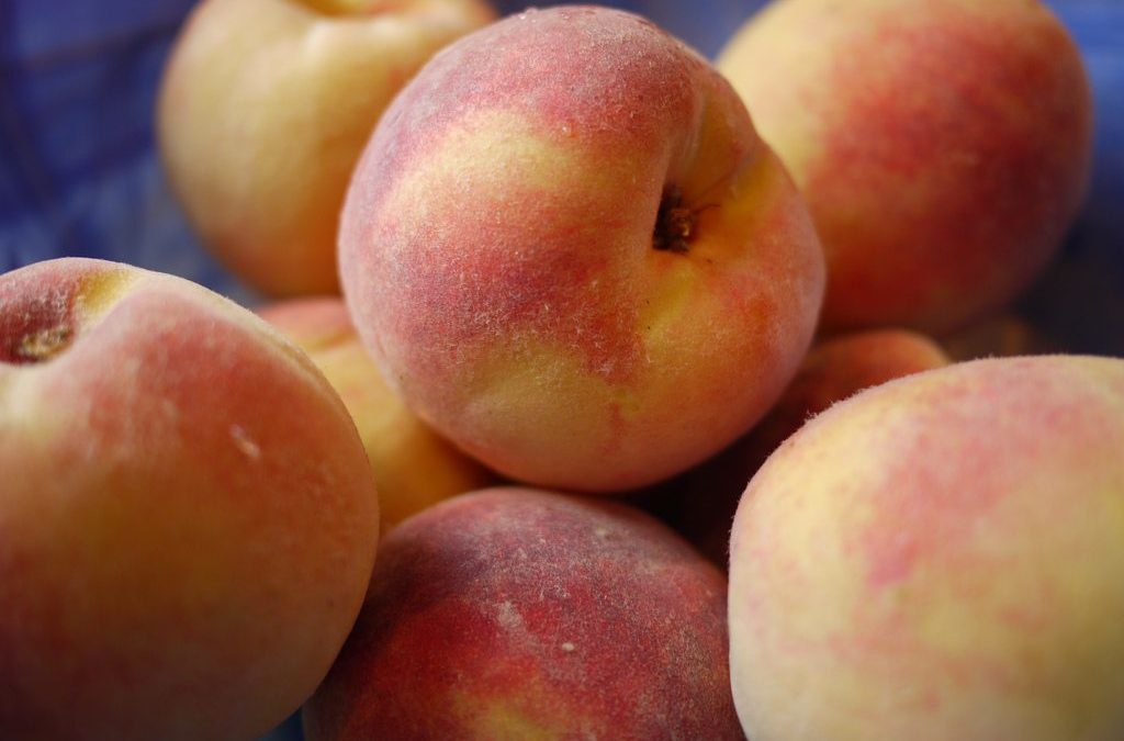 Tool Review: Peach